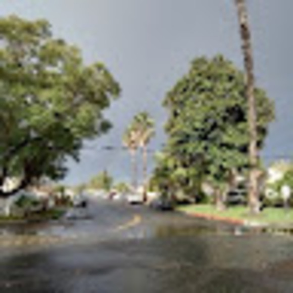 Meet your Posher, Margarito - Picture 1 of 1